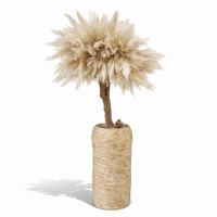 Pampas Tree Art #3 (Inclusief vaas)